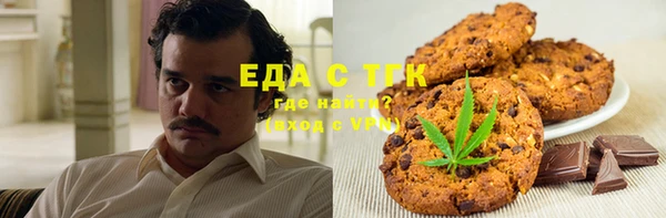 индика Алексин
