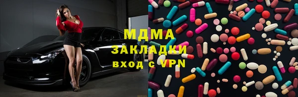 индика Алексин