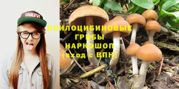твердый Алексеевка