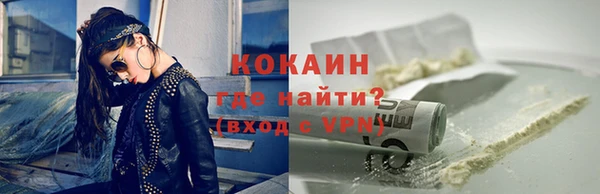 индика Алексин