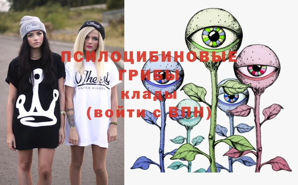 индика Алексин