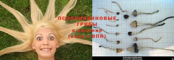 индика Алексин