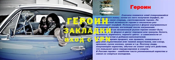 индика Алексин