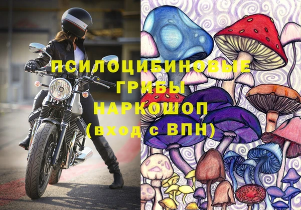 индика Алексин