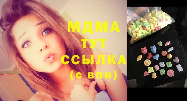 индика Алексин